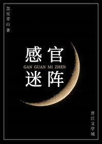 感官游戏d影名