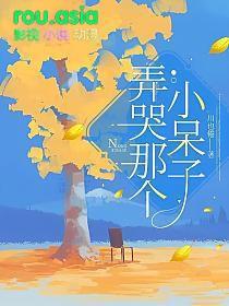 弄哭那个小呆子 免费阅读