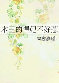 追击者电视剧剧情介绍
