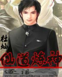 仙道炼心至尊版