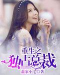 重生之总裁独宠妻